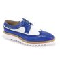 Blue/White Dress Shoe Wingtip Shoes Derby Shoe