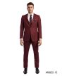 Tazio Men's 2 Piece Slim Fit Executive Suit - Bold Colors