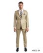 Tazio Men's 2 Piece Slim Fit Executive Suit - Bold Colors