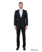 CCO Men's Outlet 2 Piece Slim Fit Suit - Classic Solid Colors