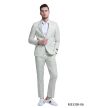 CCO Men's Outlet 2 Piece Skinny Fit Suit - Solid Color