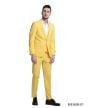 CCO Men's Outlet 3 Piece Skinny Fit Suit - Double Breasted Vest