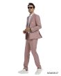 Tazio Men's 2 Piece Skinny Fit Suit - Light Pinstripe