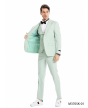 CCO Men's Outlet 3 Piece Skinny Fit Suit - Lighter Tones