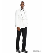 Tazio Men's 2 Piece Skinny Fit Suit - Dark Trim Paisley