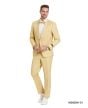 Tazio Men's 2 Piece Skinny Fit Suit - Smooth Color