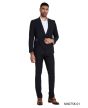 Tazio Men's 2 Piece Skinny Fit Suit - Executive Suit