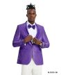Tazio Men's Classic Fashion Sport Coat - Textured Paisley