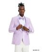 Tazio Men's Classic Fashion Sport Coat - Textured Paisley