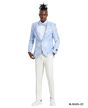 Tazio Men's Classic Fashion Sport Coat - Paisley Pattern