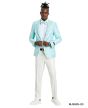 Tazio Men's Classic Fashion Sport Coat - Paisley Pattern