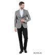 Zegarie Men's Classic Fashion Sport Coat - Slim Fit