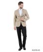 Zegarie Men's Classic Fashion Sport Coat - Slim Fit