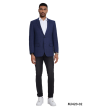 Zegarie Men's Classic Fashion Sport Coat - Windowpane