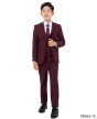 Perry Ellis Boy's 5 Piece Suit with Shirt & Tie - U Shaped Vest