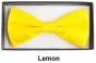 CCO Square End Bow Tie Set - Bold Colors
