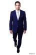 Tazio Men's 2 Piece Slim Fit Executive Suit - Side Vents