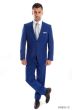 Tazio Men's 2 Piece Slim Fit Executive Suit - Bold Colors