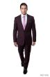 Tazio Men's 2 Piece Slim Fit Suit - Solid Classic Colors
