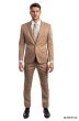 Tazio Men's 2 Piece Skinny Fit Suit - Bold Colors