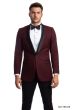 Tazio Men's Classic Fashion Sport Coat - Bold Two Tone