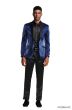 Tazio Men's Classic Fashion Sport Coat - Textured Shine