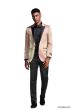 Tazio Men's Classic Fashion Sport Coat - Textured Shine