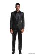 CCO Men's Outlet Classic Fashion Sport Coat - Textured Paisley