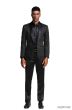 Tazio Men's Classic Fashion Sport Coat - Textured Paisley