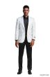 Tazio Men's Classic Fashion Sport Coat - Textured Paisley