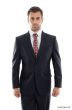 Zegarie Men's 2 Piece Modern Fit 100% Wool Suit - Solid Colors