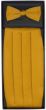 CCO Cummerbund - Fashion Colors