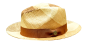 Bruno Capelo Men's Fedora Style Straw Hat - Two Tone Weave