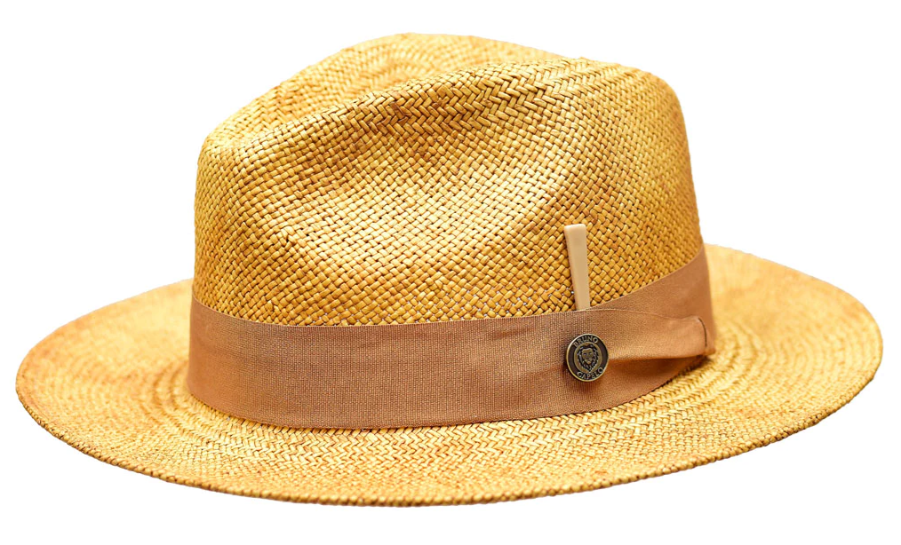 Bruno Capelo Men's Fedora Style Straw Hat - Layered Colors