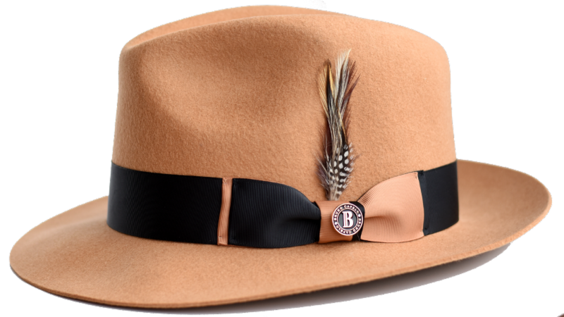 Bruno Capelo Men's Australian Wool Hat - Bold Two Tone