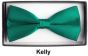 CCO Square End Bow Tie Set - Bold Colors