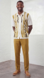 Tan Mens Leisure Suit 2 Piece Sets for Men