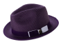 Purple Hat Fedora Style Hat Straw Hats for Men