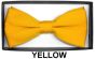 CCO Square End Bow Tie Set - Bold Colors