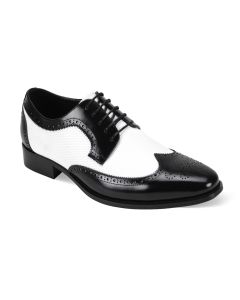 Giorgio Venturi Men's Outlet Spectator Dress Shoe - Classic Leather