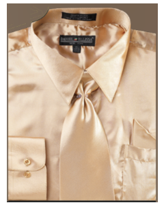 Daniel Ellissa Men's Basic Outlet Dress Shirt Set - Versatile Satin