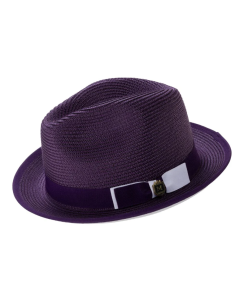 Purple Hat Fedora Style Hat Straw Hats for Men
