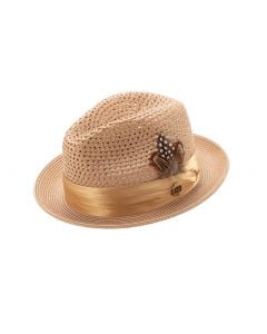 Montique Men's Fashion Straw Fedora Hat - Bold Feather