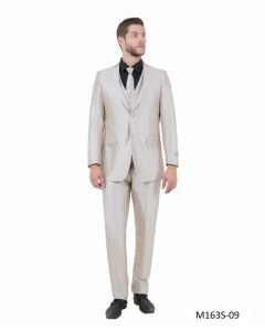 CCO Men's Outlet 3 Piece Slim Fit Suit - Solid Sharkskin