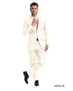 2 Piece Suits For Men - Mens Pant Suits - FREE Shipping Over $129