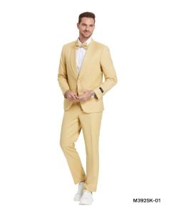 Tazio Men's 2 Piece Skinny Fit Suit - Smooth Color