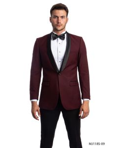 Tazio Men's Classic Fashion Sport Coat - Bold Two Tone