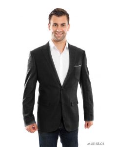 Tazio Men's Classic Fashion Sport Coat - Textured Color