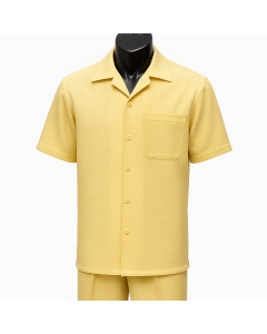 Dreams by Zacchi Men's 2 Piece Walking Suit - Detailed Pic Stitching
