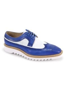 Blue/White Dress Shoe Wingtip Shoes Derby Shoe